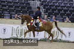 25R13_02661 thumbnail