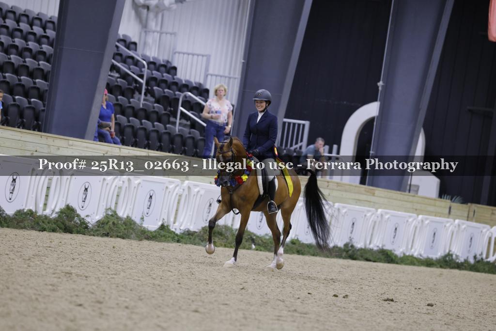 Proof Number 25R13_02663