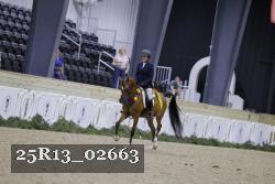 25R13_02663 thumbnail