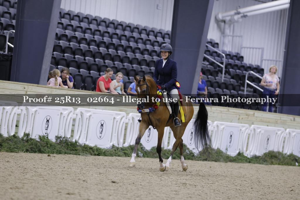 Proof Number 25R13_02664