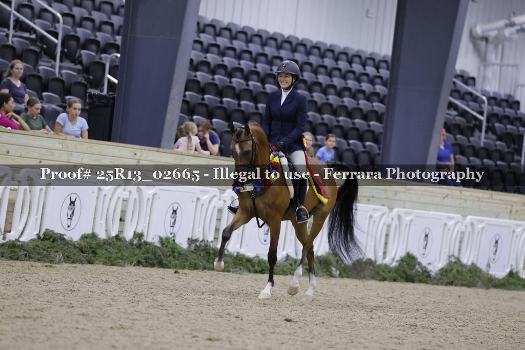 Proof Number 25R13_02665