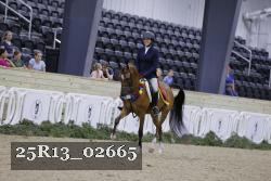 25R13_02665 thumbnail