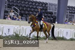 25R13_02667 thumbnail