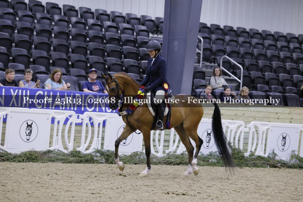 Proof Number 25R13_02668