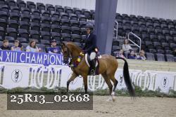 25R13_02668 thumbnail