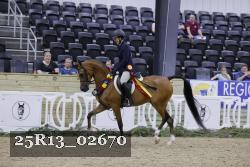 25R13_02670 thumbnail