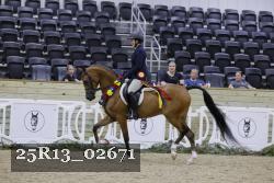 25R13_02671 thumbnail