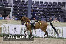 25R13_02672 thumbnail