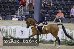 25R13_02673 thumbnail