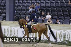 25R13_02674 thumbnail