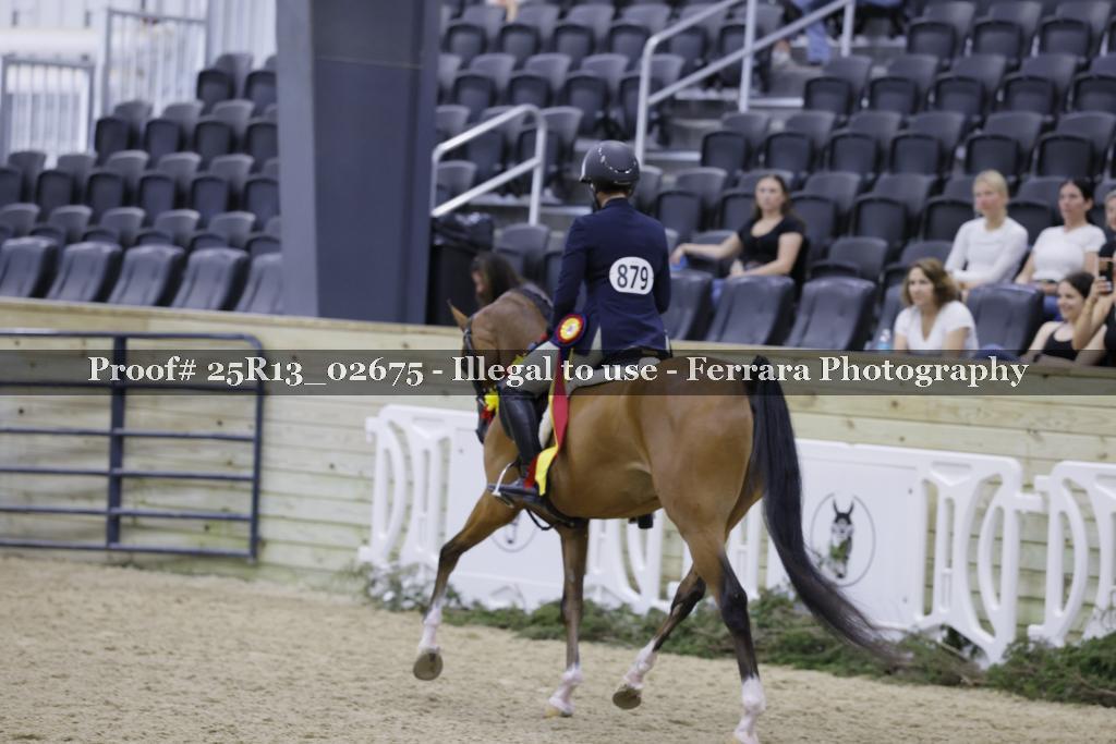 Proof Number 25R13_02675