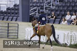 25R13_02675 thumbnail