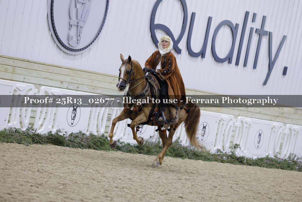 Proof Number 25R13_02677