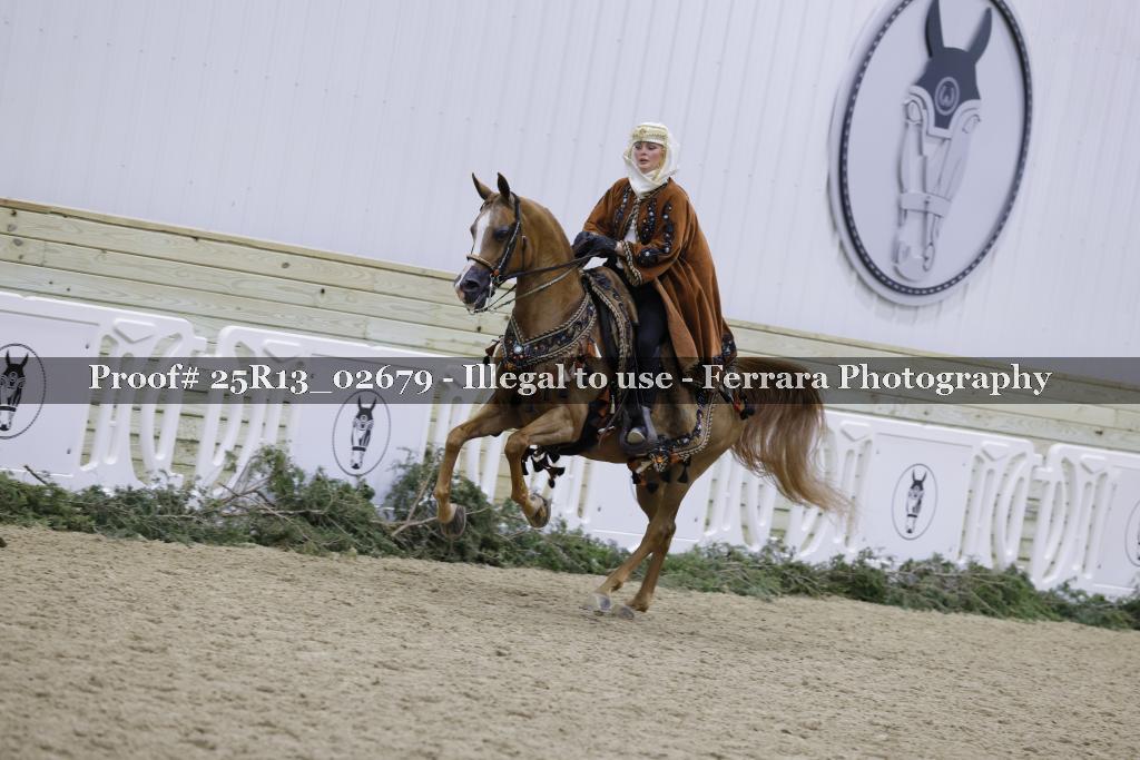 Proof Number 25R13_02679