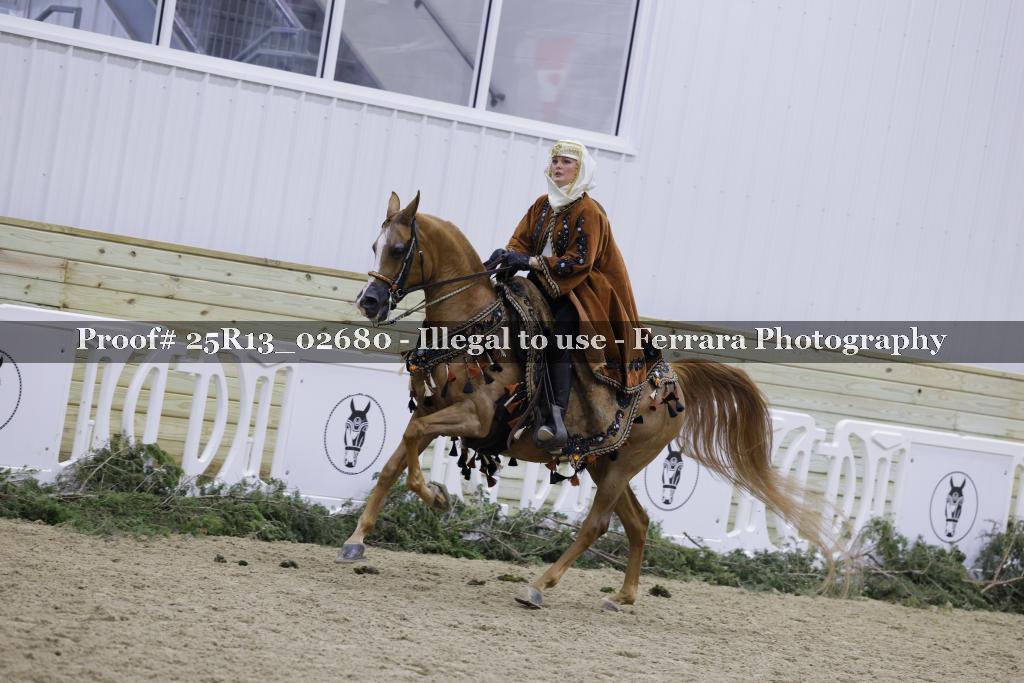 Proof Number 25R13_02680