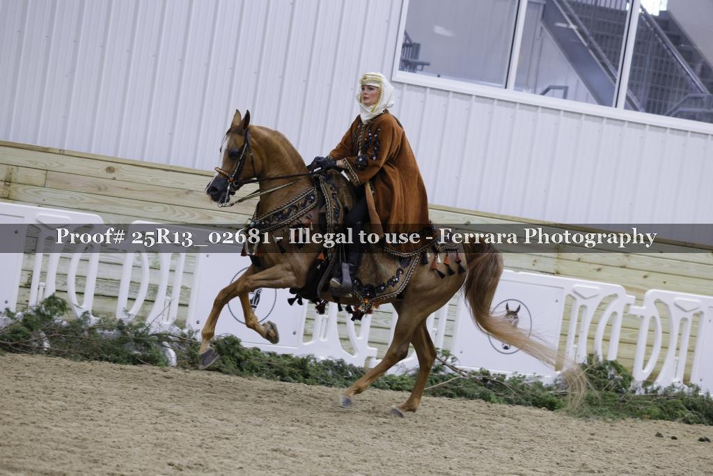 Proof Number 25R13_02681