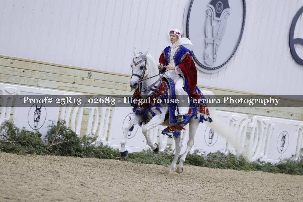 Proof Number 25R13_02683