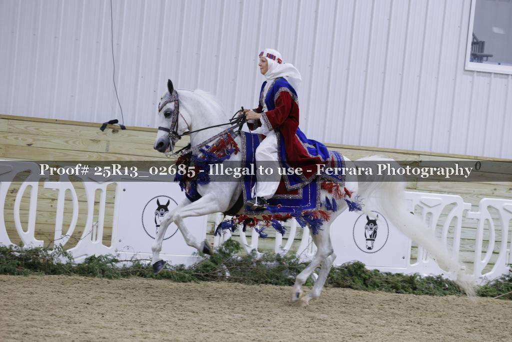 Proof Number 25R13_02685