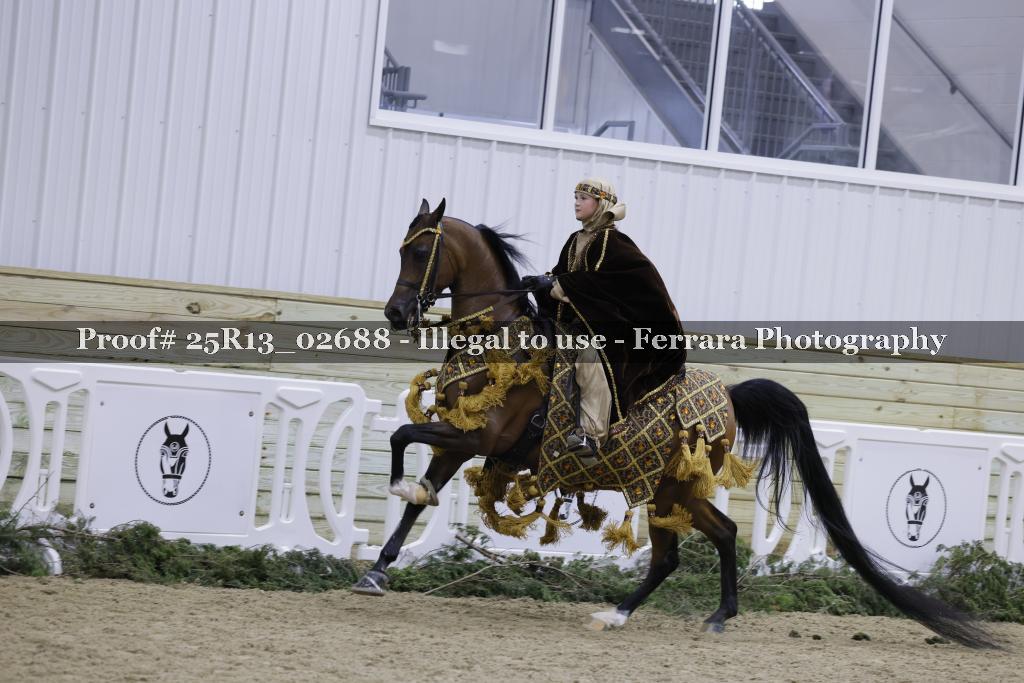 Proof Number 25R13_02688