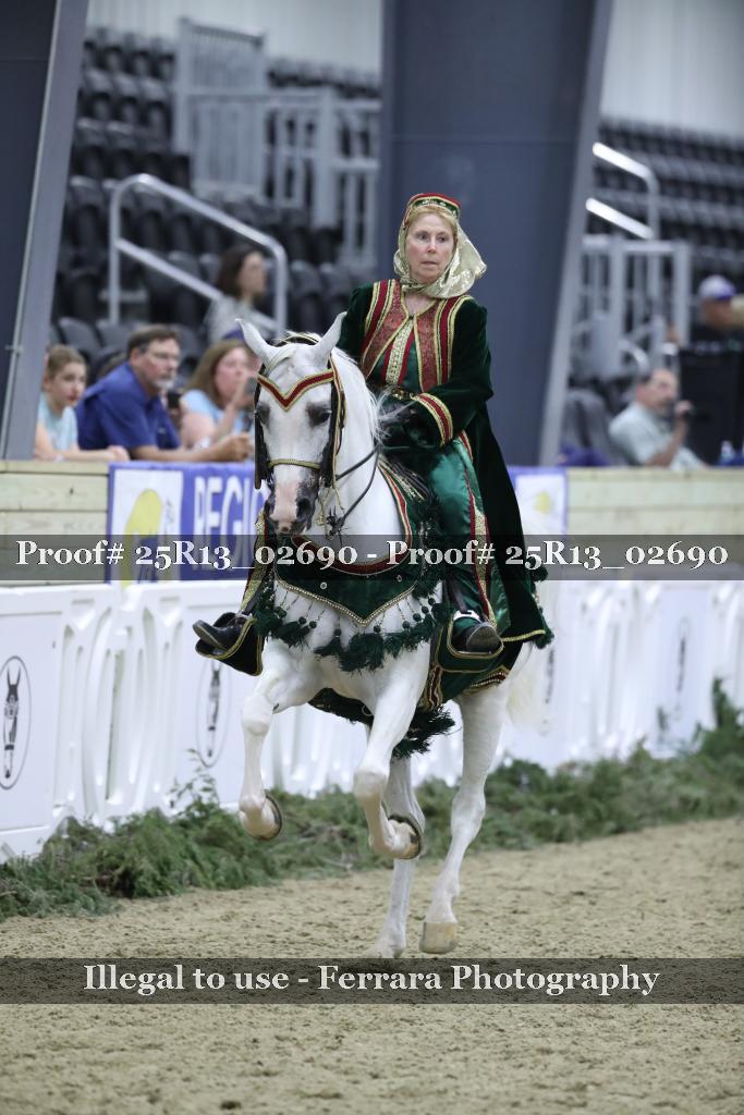 Proof Number 25R13_02690