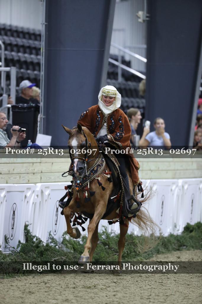Proof Number 25R13_02697