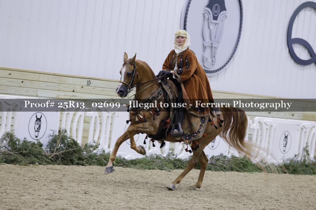 Proof Number 25R13_02699
