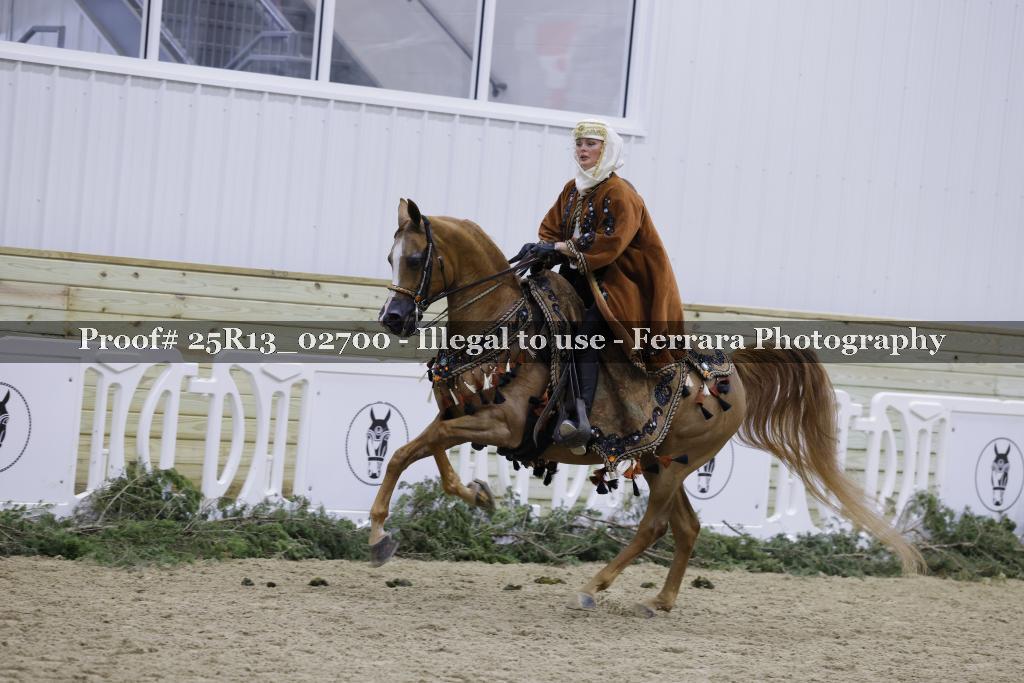 Proof Number 25R13_02700