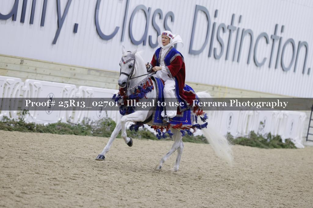 Proof Number 25R13_02701