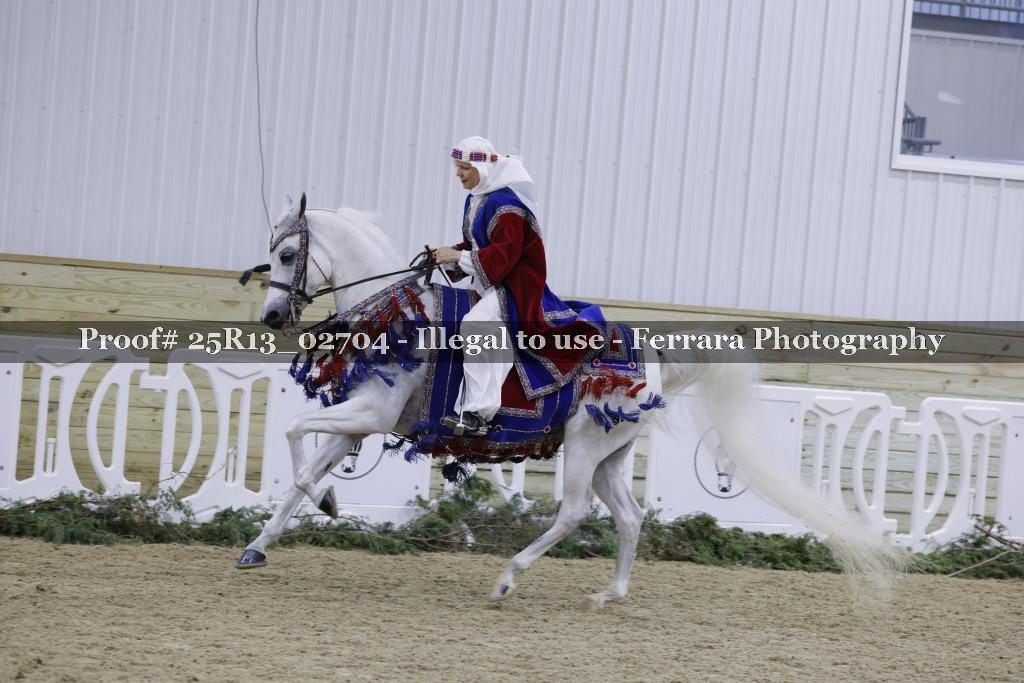 Proof Number 25R13_02704