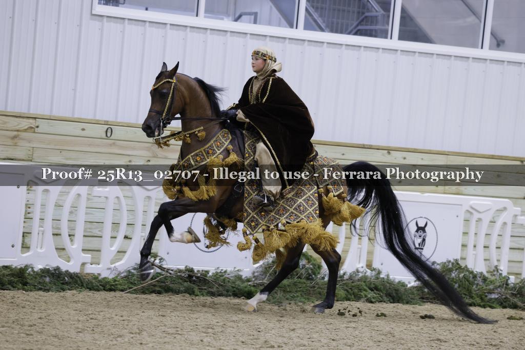 Proof Number 25R13_02707