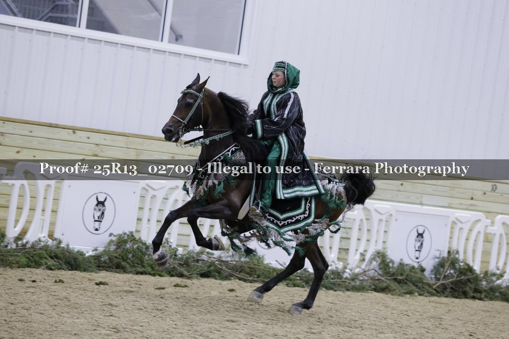 Proof Number 25R13_02709
