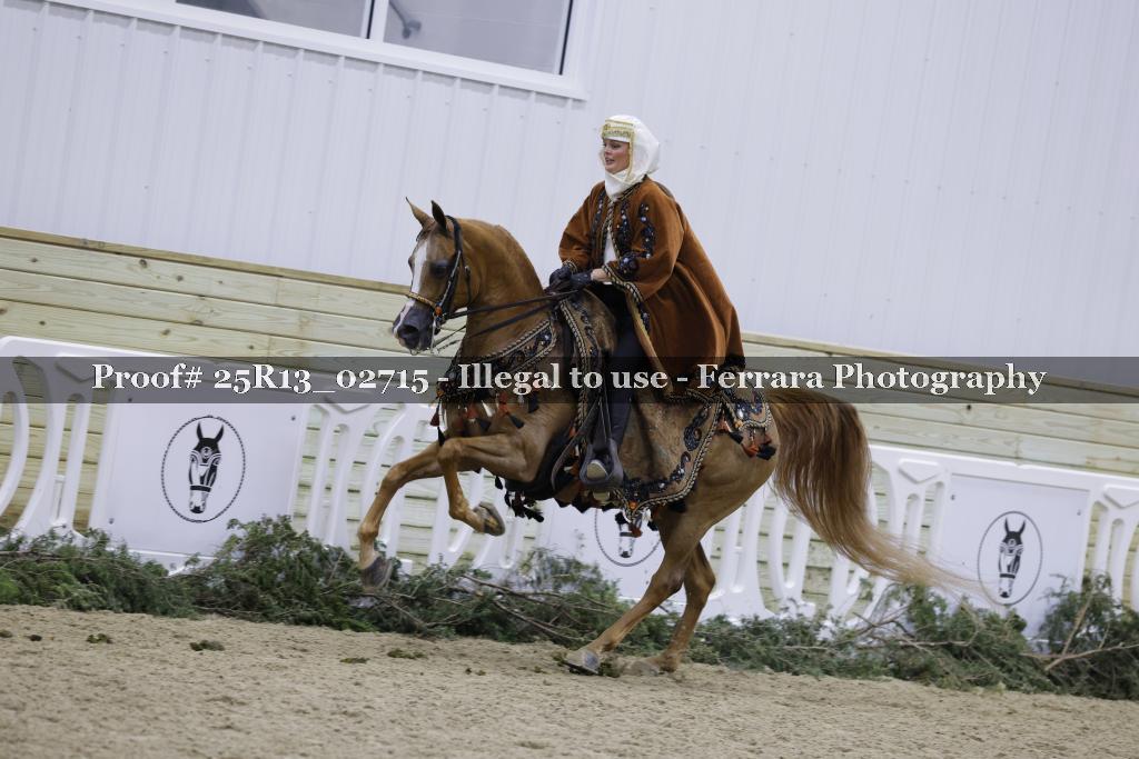 Proof Number 25R13_02715