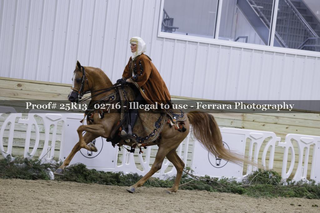 Proof Number 25R13_02716
