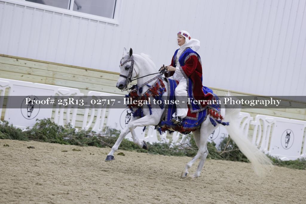 Proof Number 25R13_02717
