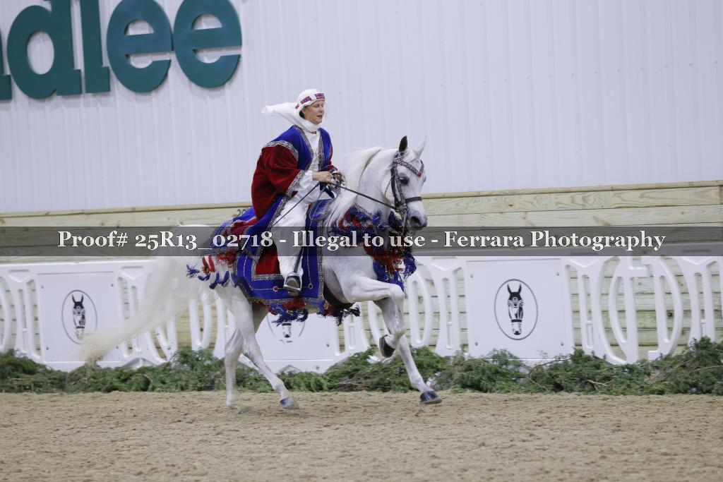 Proof Number 25R13_02718
