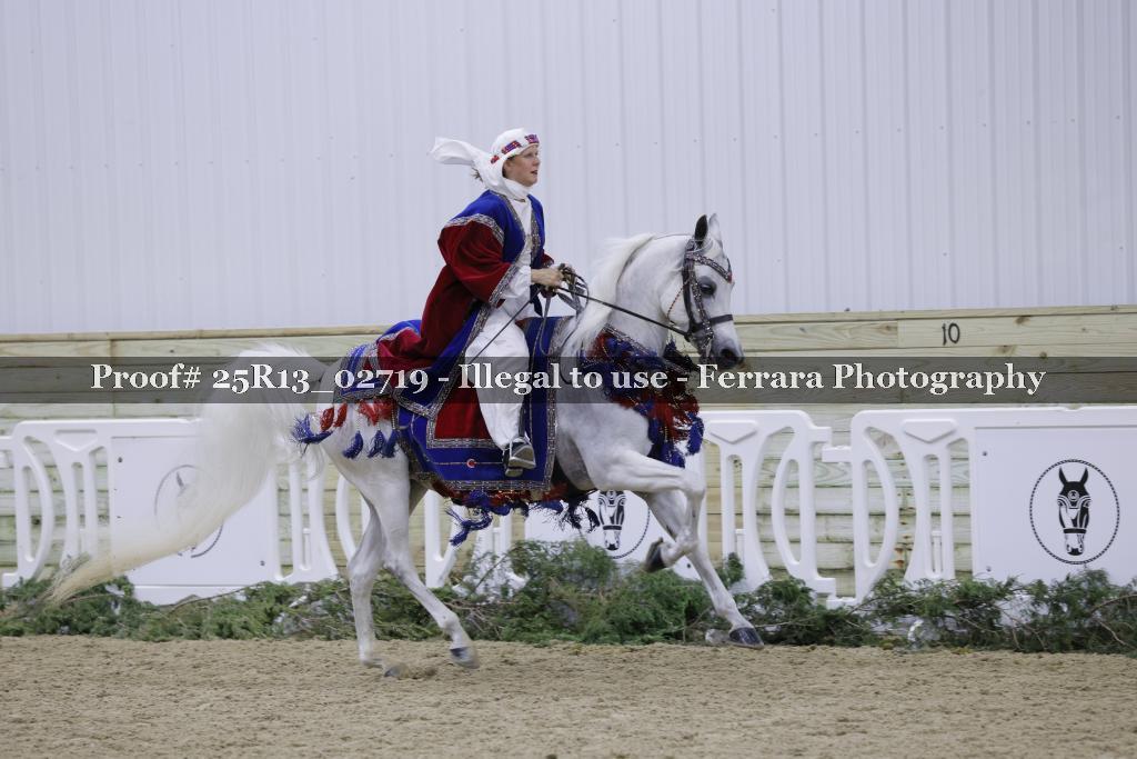 Proof Number 25R13_02719