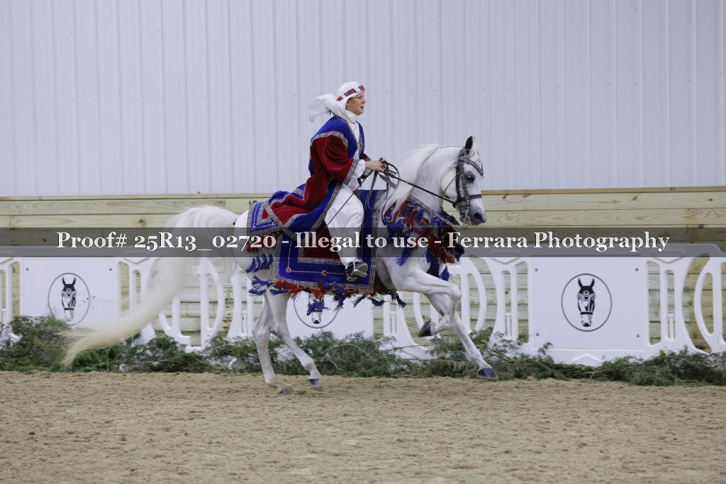 Proof Number 25R13_02720