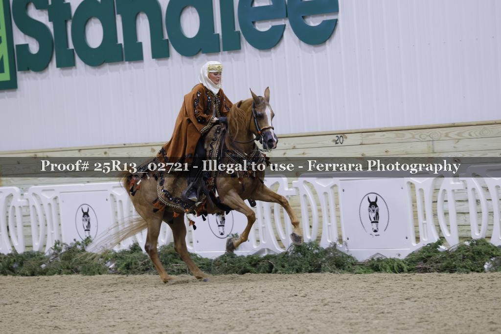 Proof Number 25R13_02721