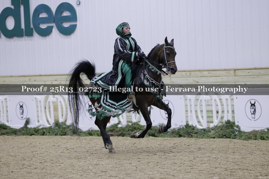 Proof Number 25R13_02723