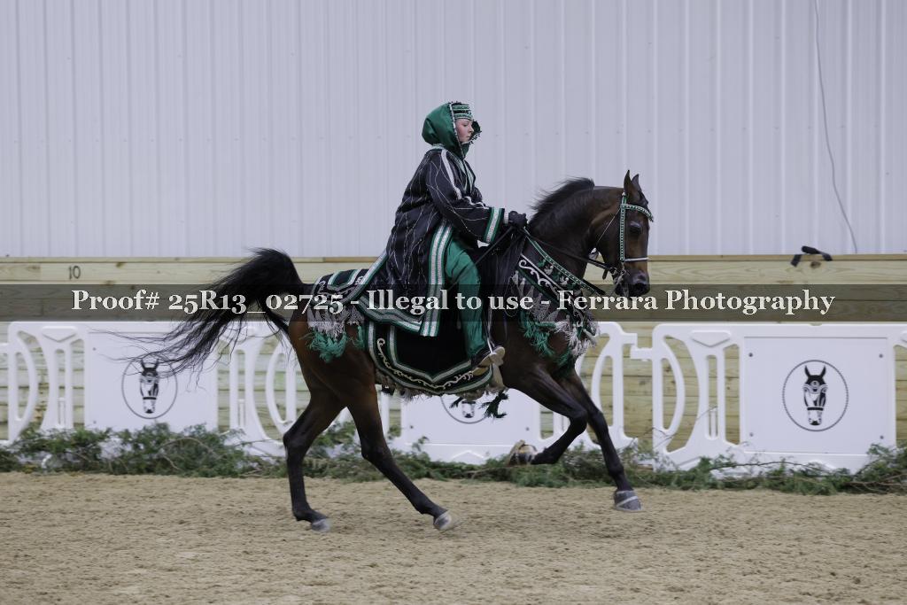 Proof Number 25R13_02725