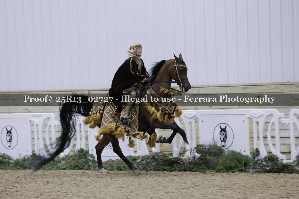 Proof Number 25R13_02727