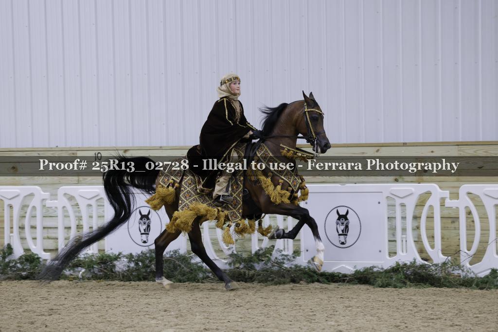 Proof Number 25R13_02728