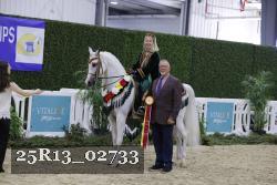 25R13_02733 thumbnail