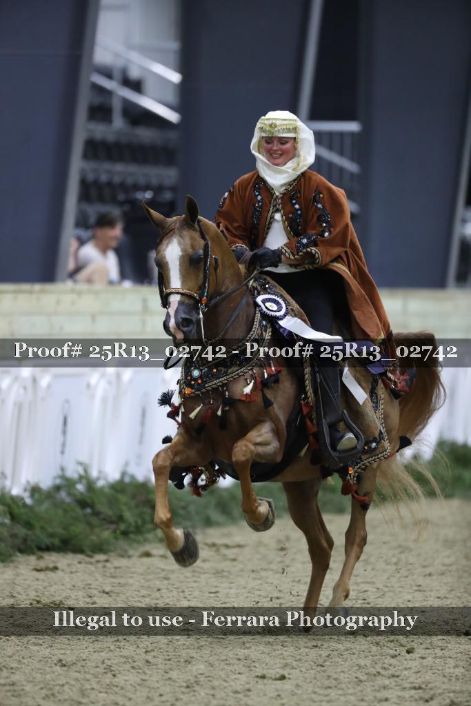 Proof Number 25R13_02742