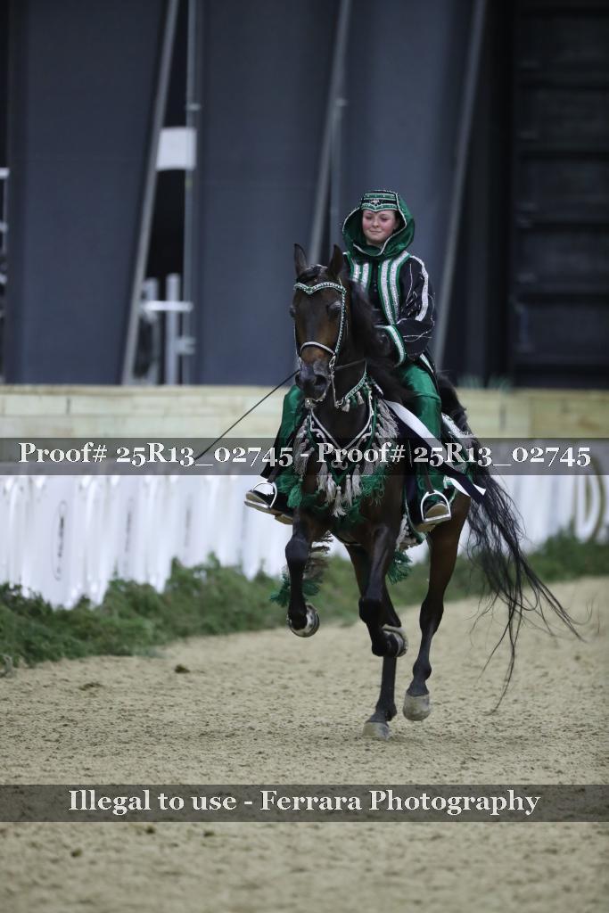 Proof Number 25R13_02745