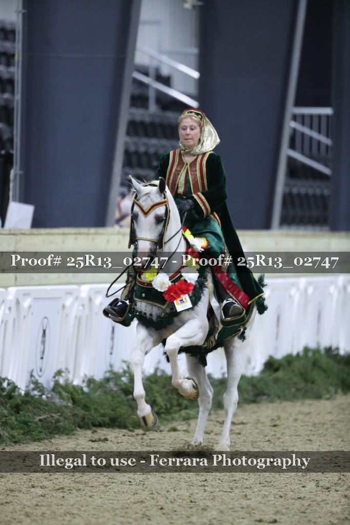 Proof Number 25R13_02747