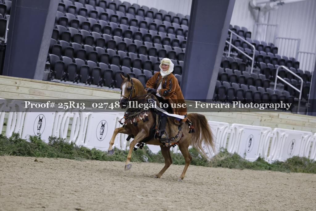 Proof Number 25R13_02748
