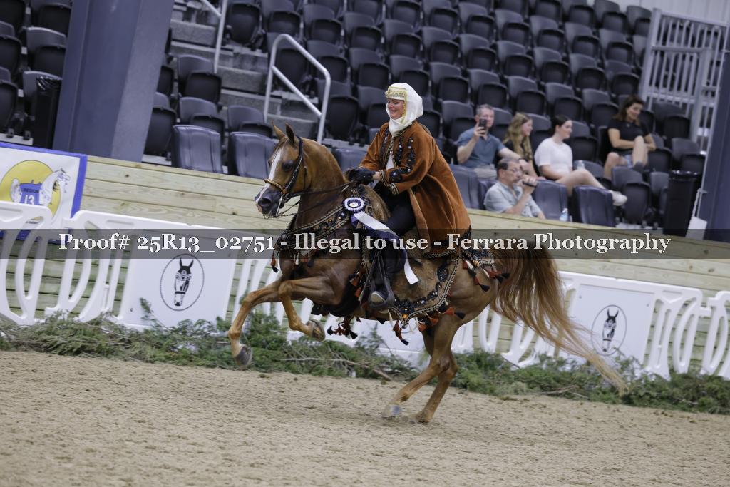 Proof Number 25R13_02751