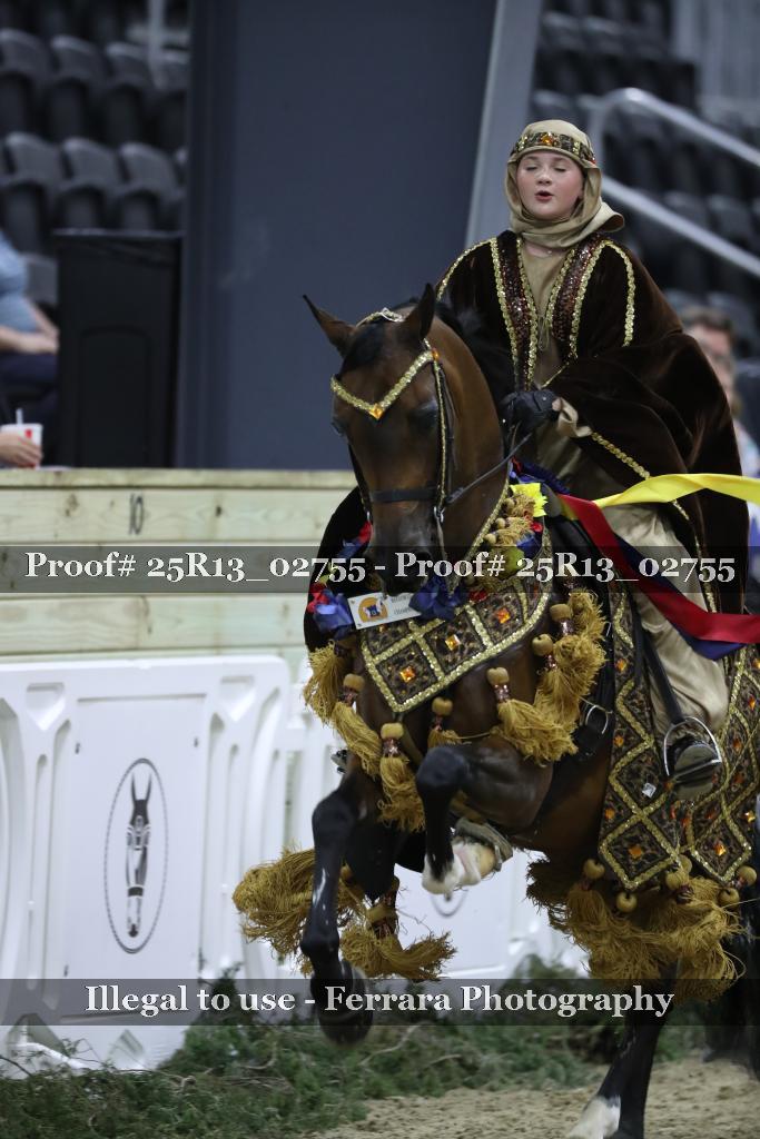 Proof Number 25R13_02755