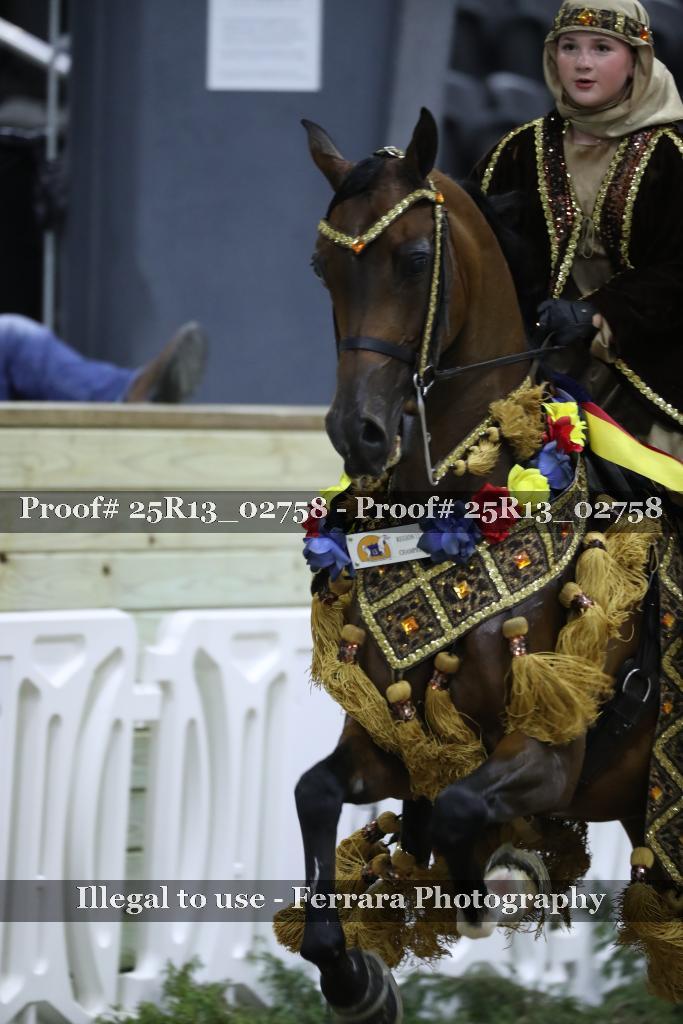 Proof Number 25R13_02758